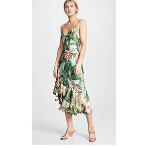 NWT Patbo paradise print ruffle dress, size 4